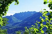 Al Monte Barro, parco naturale ricco di flora spontanea e bel balcone panoramico tra i laghi di Lecco, Garllate e Annone (il 2 giugno 2010 - FOTOGALLERY